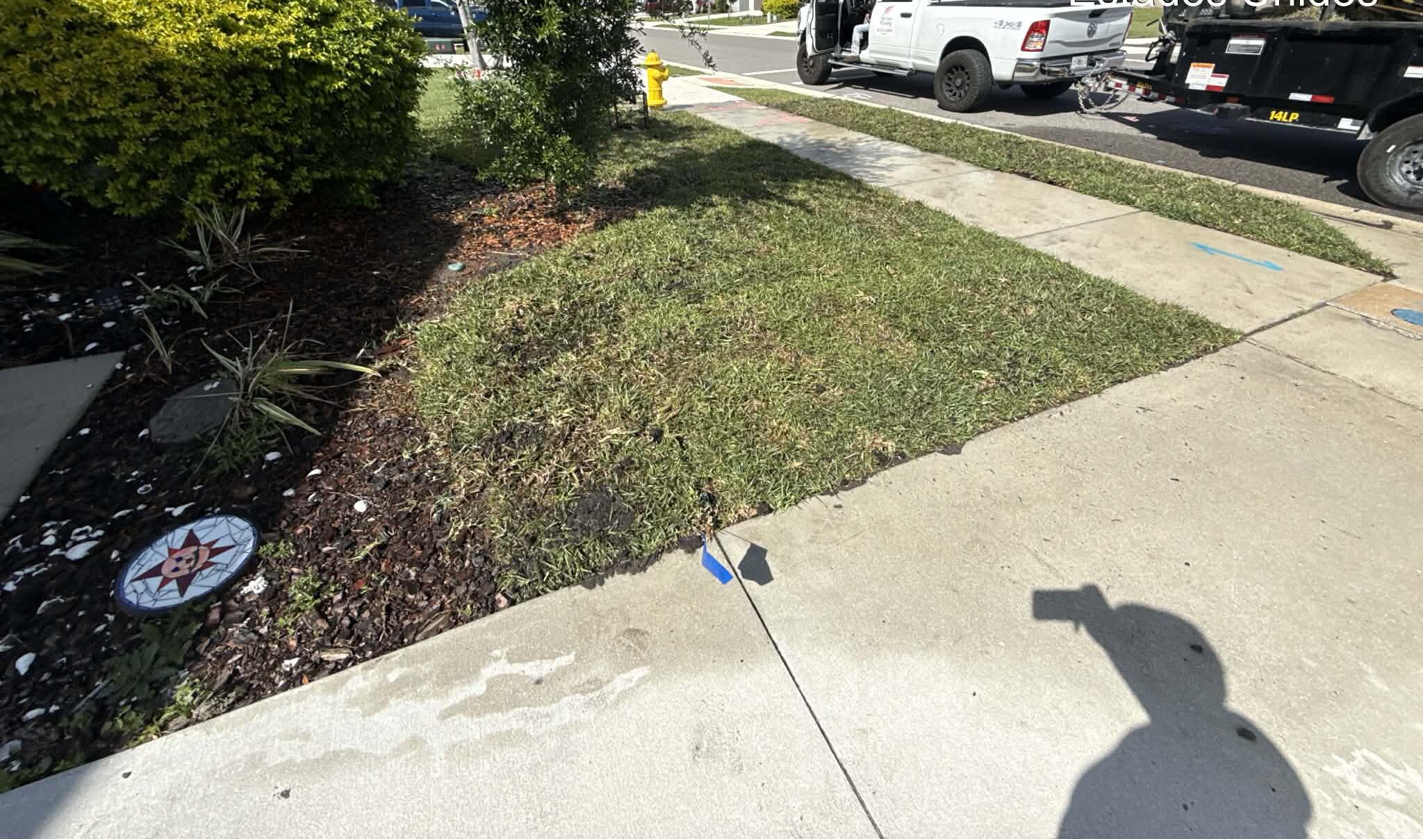 Sandy soil in a Tampa, FL yard before sod installation